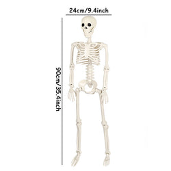 Halloween Movable Skeleton