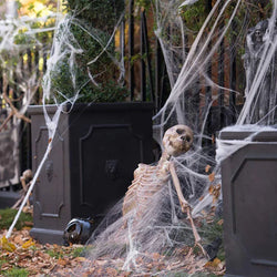 Halloween Decoration Spider Web