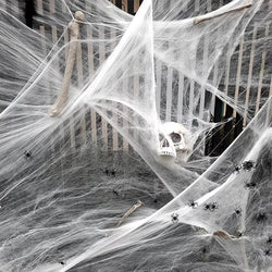 Halloween Decoration Spider Web