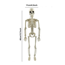 Halloween Movable Skeleton