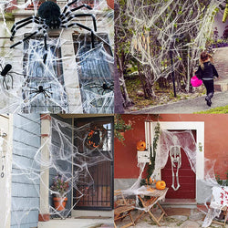 Halloween Decoration Spider Web